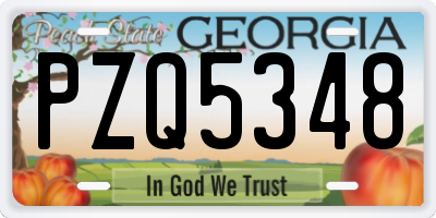 GA license plate PZQ5348