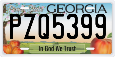 GA license plate PZQ5399