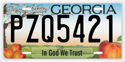 GA license plate PZQ5421