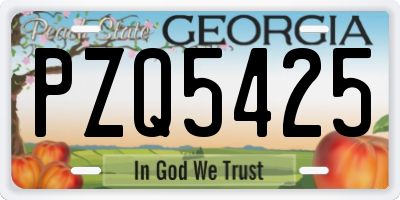 GA license plate PZQ5425