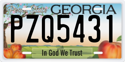 GA license plate PZQ5431