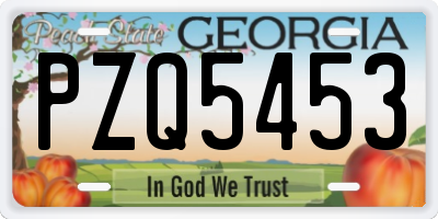 GA license plate PZQ5453