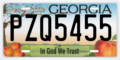 GA license plate PZQ5455