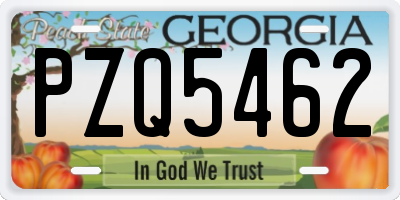 GA license plate PZQ5462