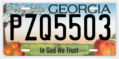 GA license plate PZQ5503