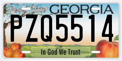 GA license plate PZQ5514