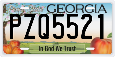 GA license plate PZQ5521