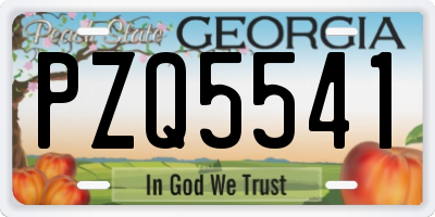 GA license plate PZQ5541
