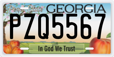 GA license plate PZQ5567