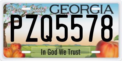 GA license plate PZQ5578