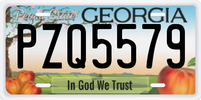 GA license plate PZQ5579