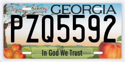 GA license plate PZQ5592