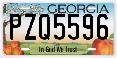 GA license plate PZQ5596