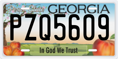 GA license plate PZQ5609