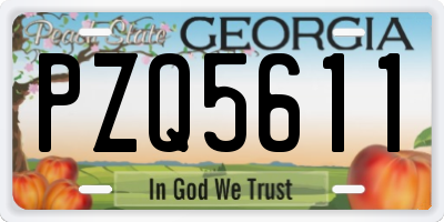 GA license plate PZQ5611