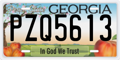 GA license plate PZQ5613