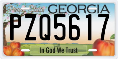 GA license plate PZQ5617