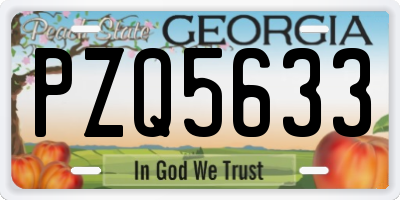 GA license plate PZQ5633