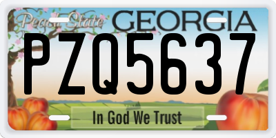 GA license plate PZQ5637