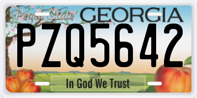 GA license plate PZQ5642