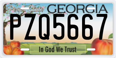 GA license plate PZQ5667