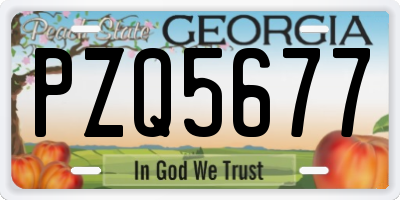 GA license plate PZQ5677