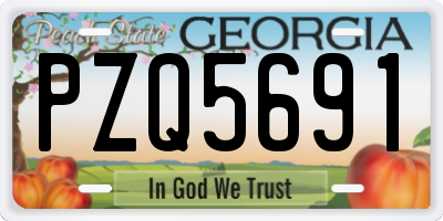 GA license plate PZQ5691