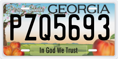 GA license plate PZQ5693