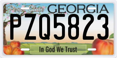 GA license plate PZQ5823