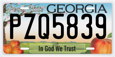 GA license plate PZQ5839