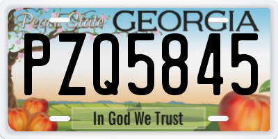 GA license plate PZQ5845
