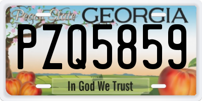 GA license plate PZQ5859