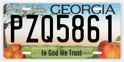 GA license plate PZQ5861