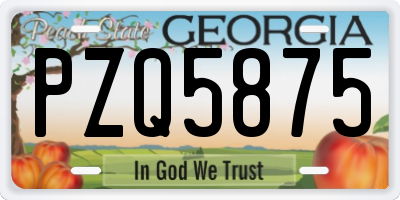 GA license plate PZQ5875