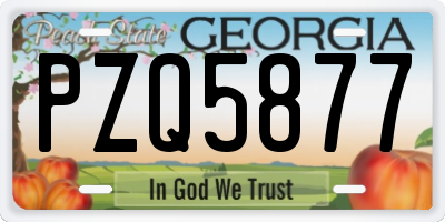 GA license plate PZQ5877