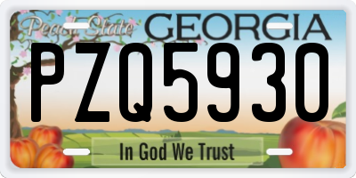 GA license plate PZQ5930