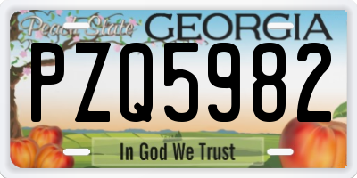 GA license plate PZQ5982