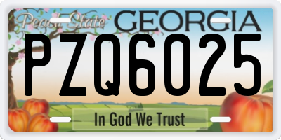 GA license plate PZQ6025