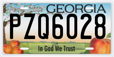 GA license plate PZQ6028