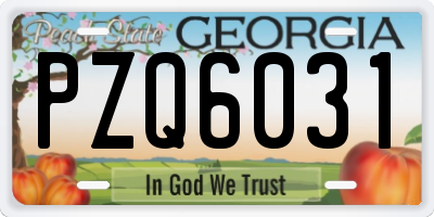GA license plate PZQ6031
