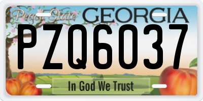 GA license plate PZQ6037
