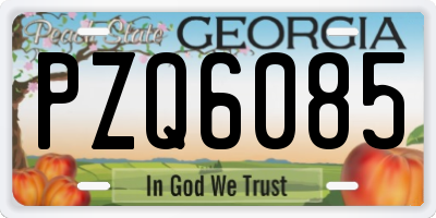 GA license plate PZQ6085