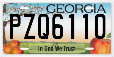 GA license plate PZQ6110