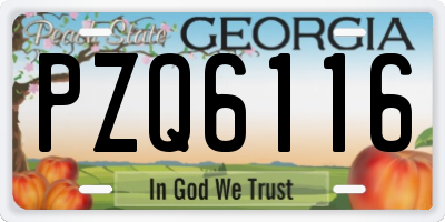 GA license plate PZQ6116