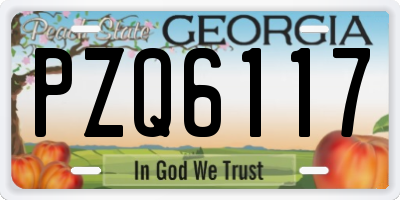 GA license plate PZQ6117
