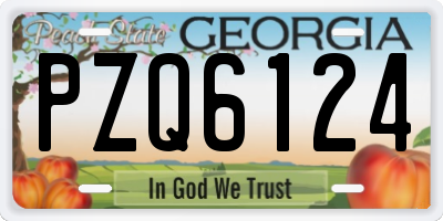 GA license plate PZQ6124