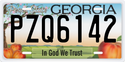 GA license plate PZQ6142