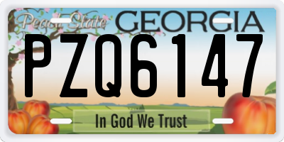 GA license plate PZQ6147