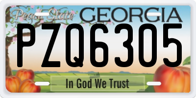 GA license plate PZQ6305