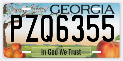GA license plate PZQ6355